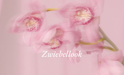 Zwiebellook & Zwiebelprinzip: Layering leicht gemacht