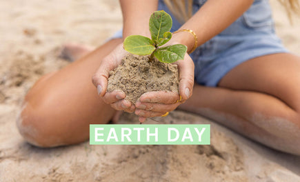 Our Sustainability Timeline