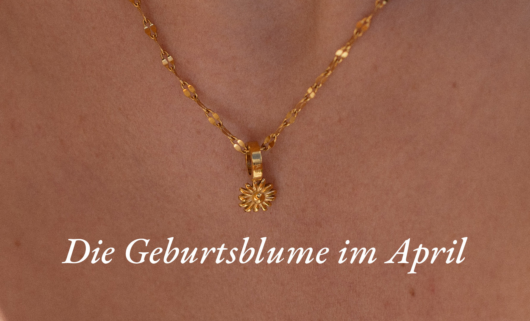 Geburtsblume April: Das Gänseblümchen und seine Bedeutung