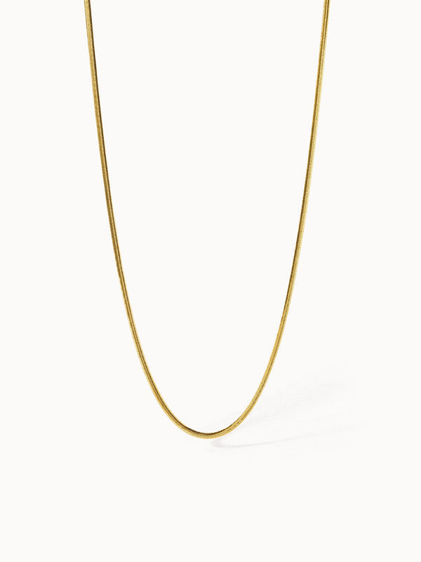 {"color":"Gold","type":"lead_image"}