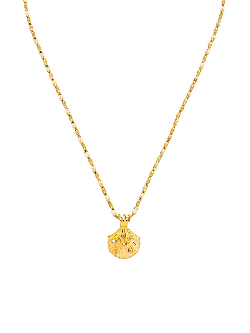 Aloha Shell Kette