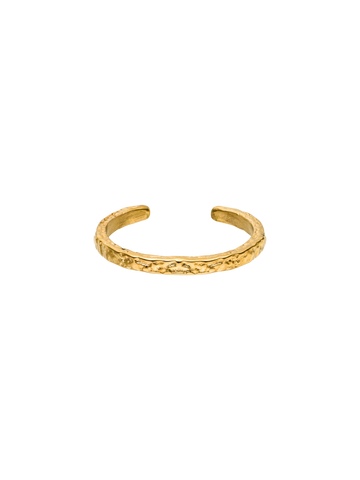 Volcano Ring (Earth)