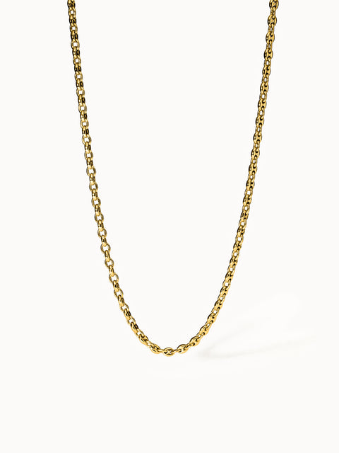 {"color":"Gold","type":"lead_image"}