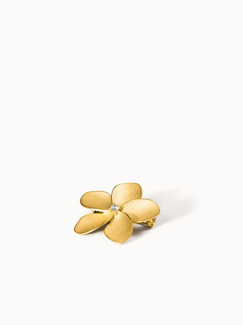 {"color":"Gold", "type":"lead_image"}