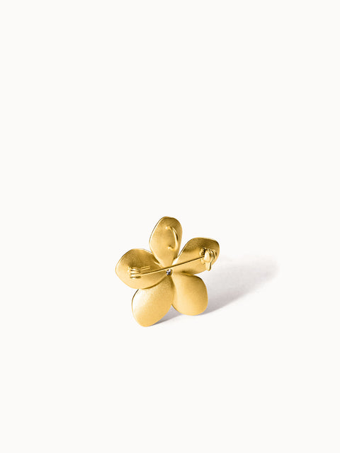 {"color":"Gold"}