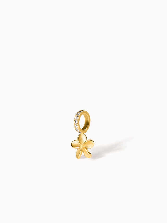 files/2503-MC-Charm-Empowher_GG.jpg