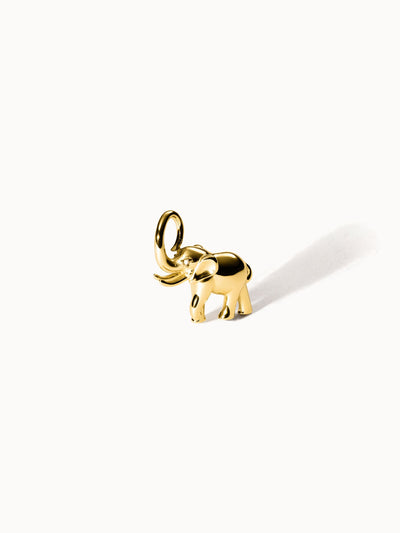{"color":"Gold", "type":"lead_image"}