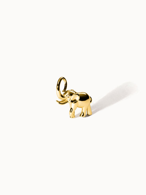 {"color":"Gold", "type":"lead_image"}
