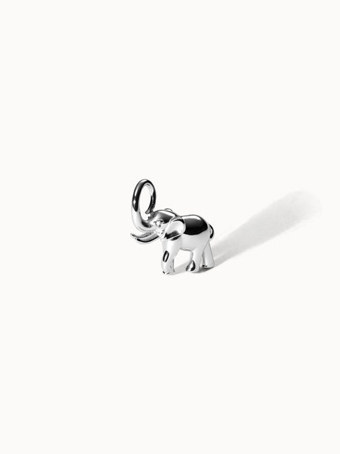 {"color":"Silver", "type":"lead_image"}
