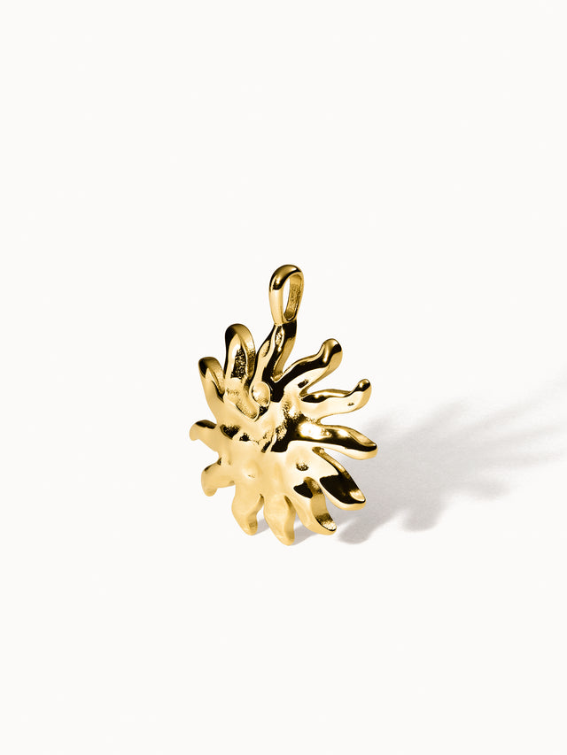 files/25311-Charm-Iconic-Sun_GG.jpg