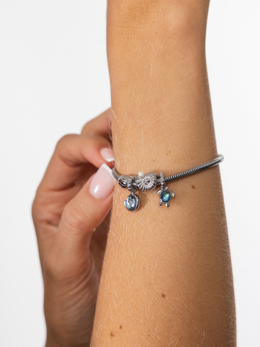 Abalone Charm Set