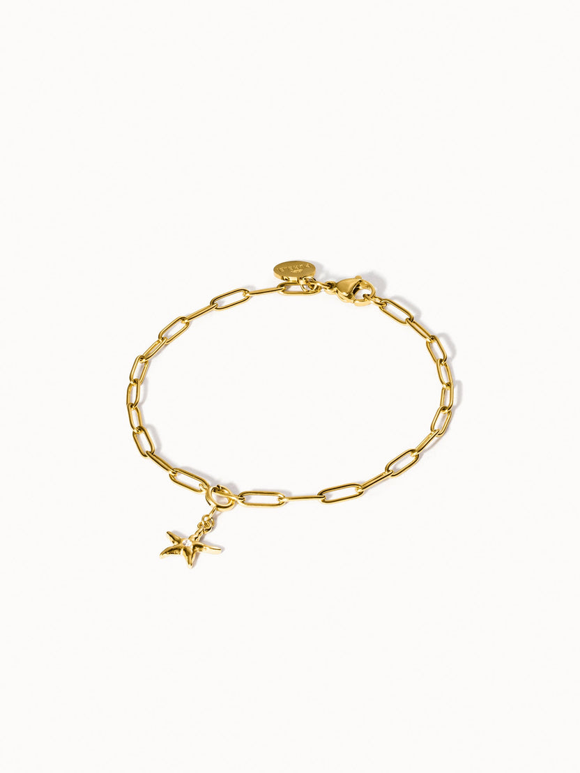 {"color":"Gold"}