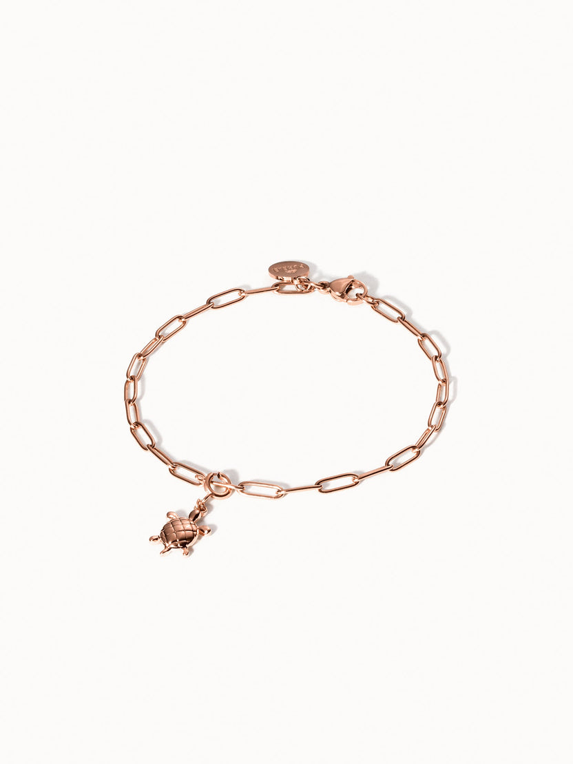 {"color":"Rosegold"}