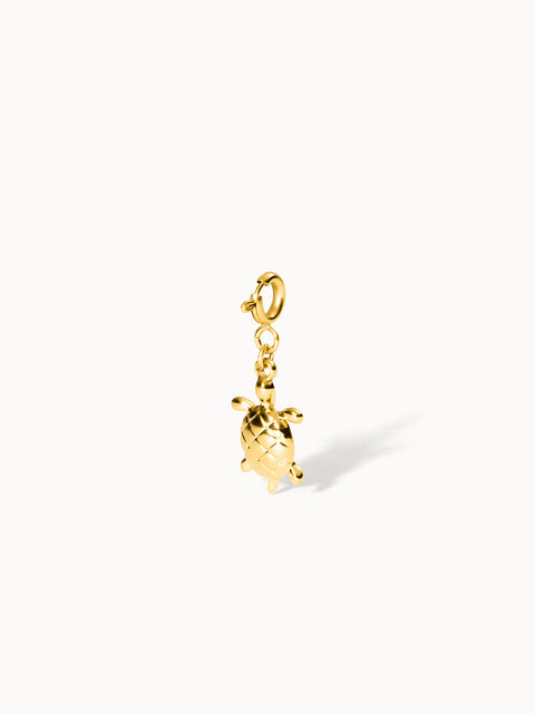{"color":"Gold", "type":"lead_image"}