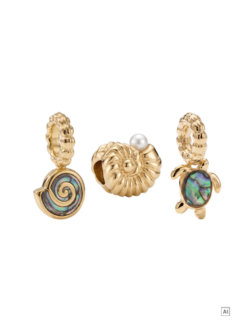 Abalone Charm Set