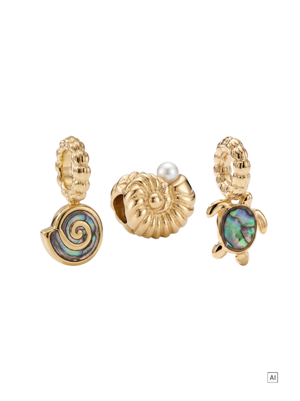 Abalone Charm Set