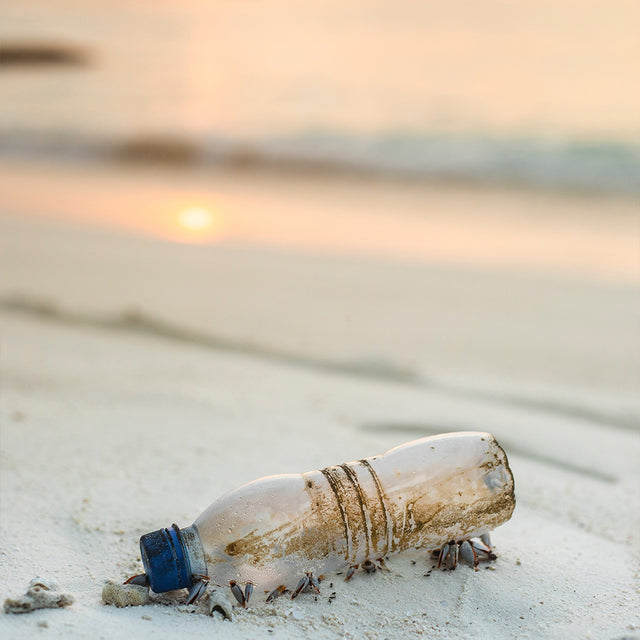 Verschmutzte Plastikflasche im Sand, umgeben von sanften Wellen und Sonnenlicht – PURELEI inspiriert.
