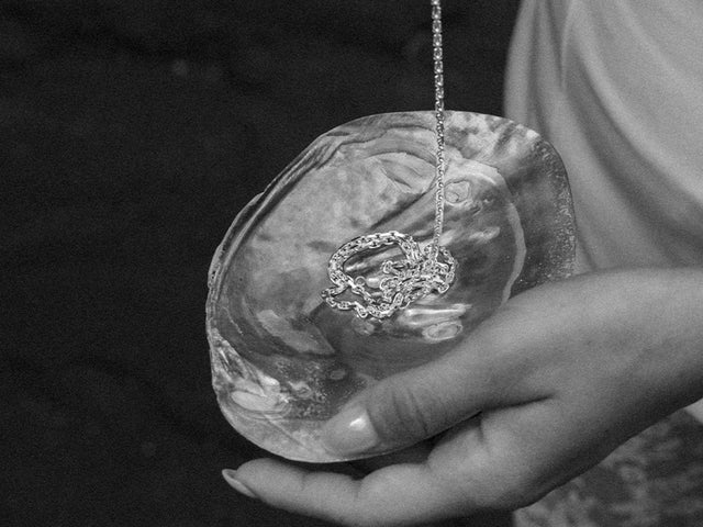 Silberne Kette mit feinem Design, auf einer Muschel gehalten, PURELEI Stil.