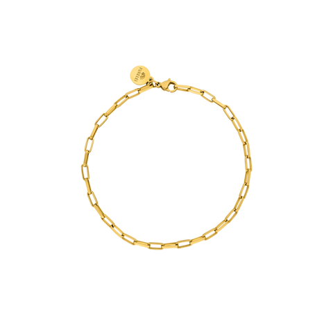 Waina Armband aus 18K Gold Edelstahl, feine Gliederkette, elegant und femininer Island-Spirit von PURELEI.