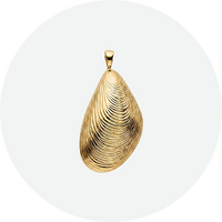 Mit Muscheln