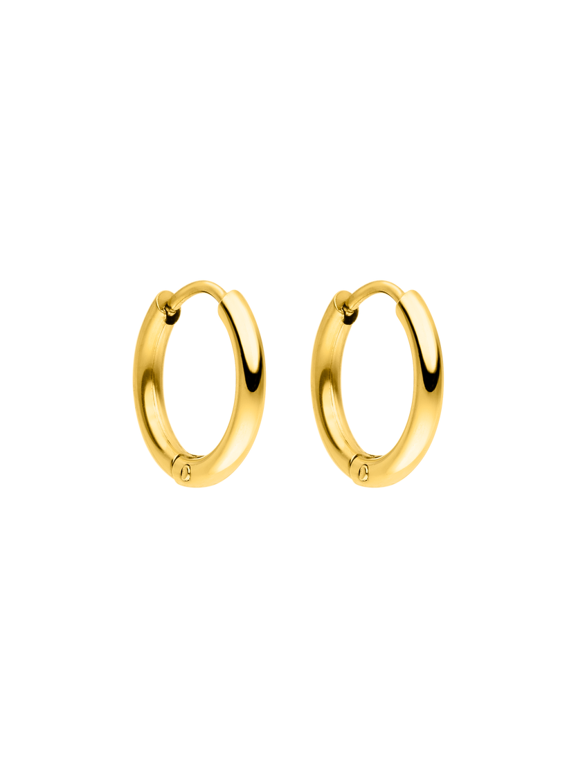 Earrings Spirit