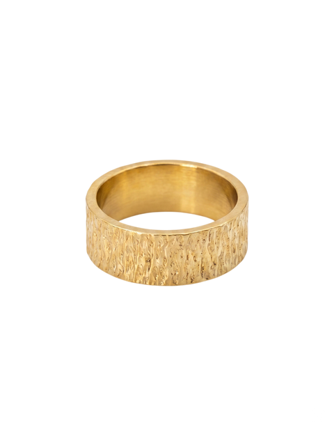 Tidemark Ring
