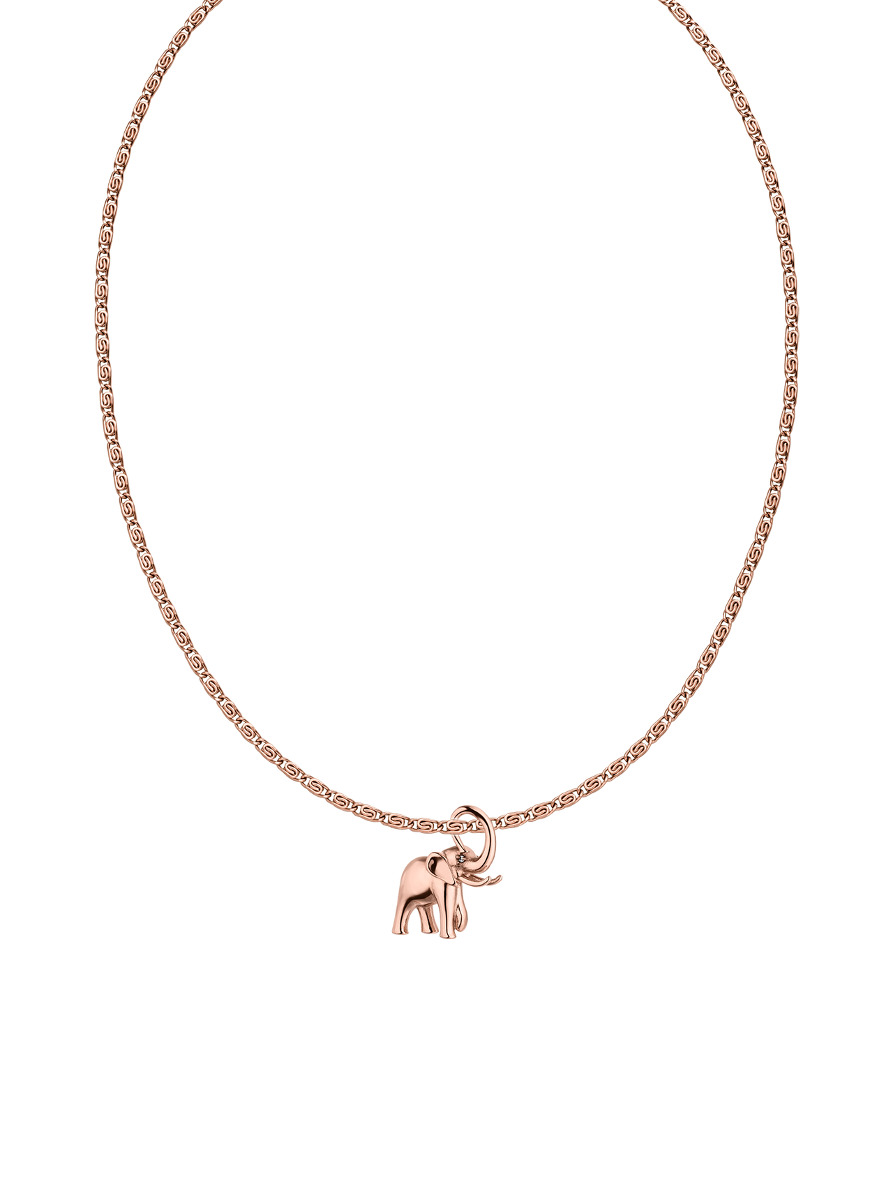 Little Elephant Set