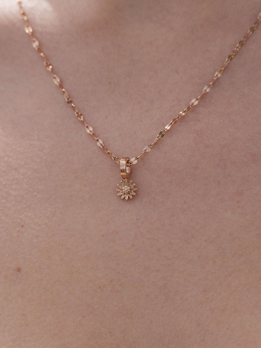 {"color":"Rosegold"}