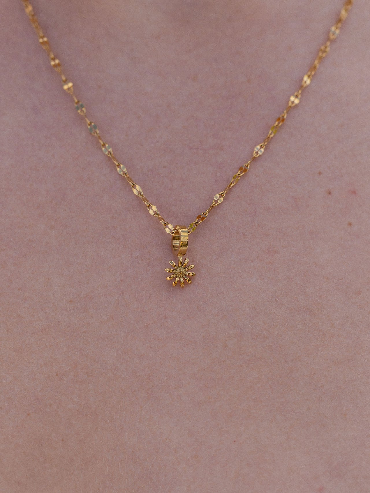 Aster Geburtsblume September Charm in 18K Gold, zartes Blumendesign an feiner Kette, elegant und feminin von PURELEI.
