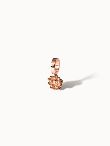 {"color":"Rosegold", "type":"lead_image"}