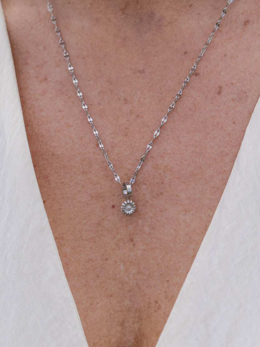 {"color":"Silver"}