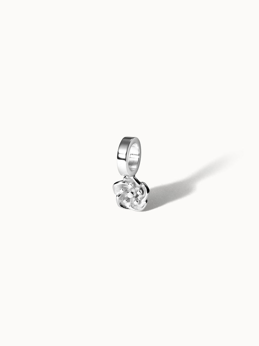 {"color":"Silver"}