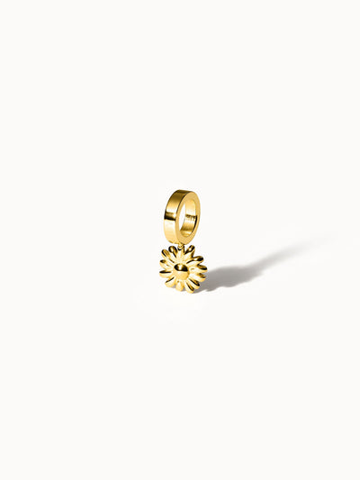 {"color":"Gold", "type":"lead_image"}