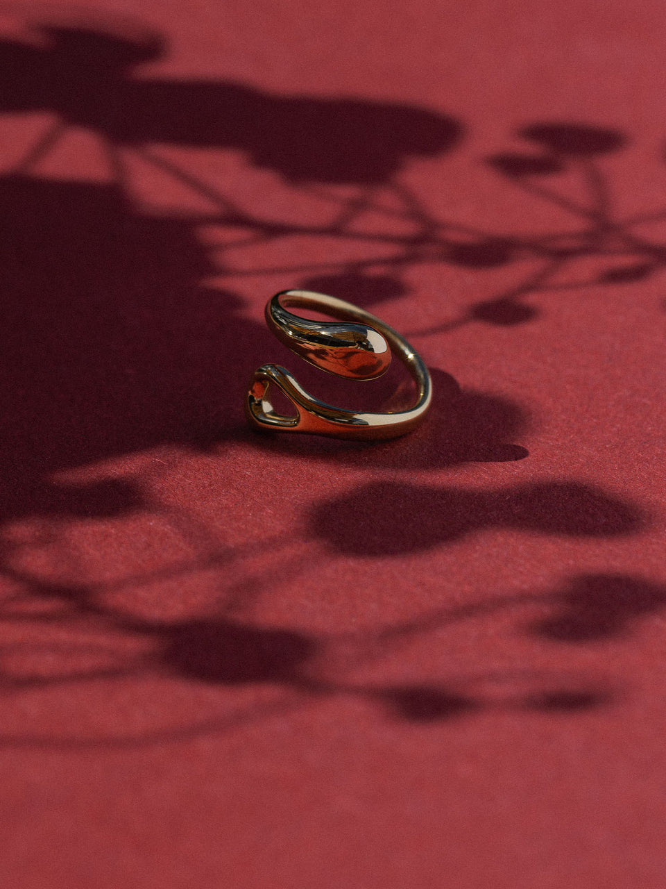 Generosity Ring
