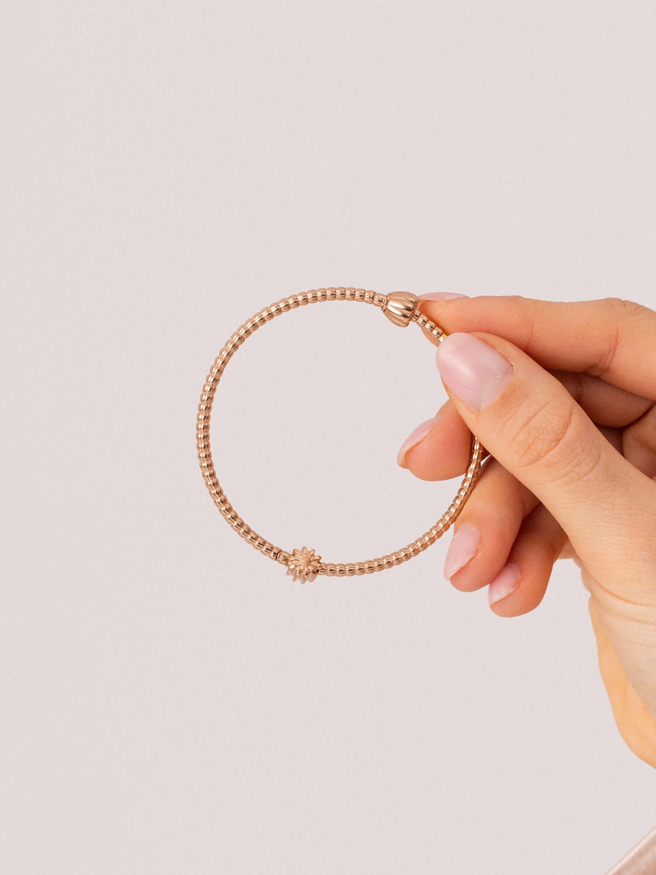 LEI Aster Charm - Geburtsblume September