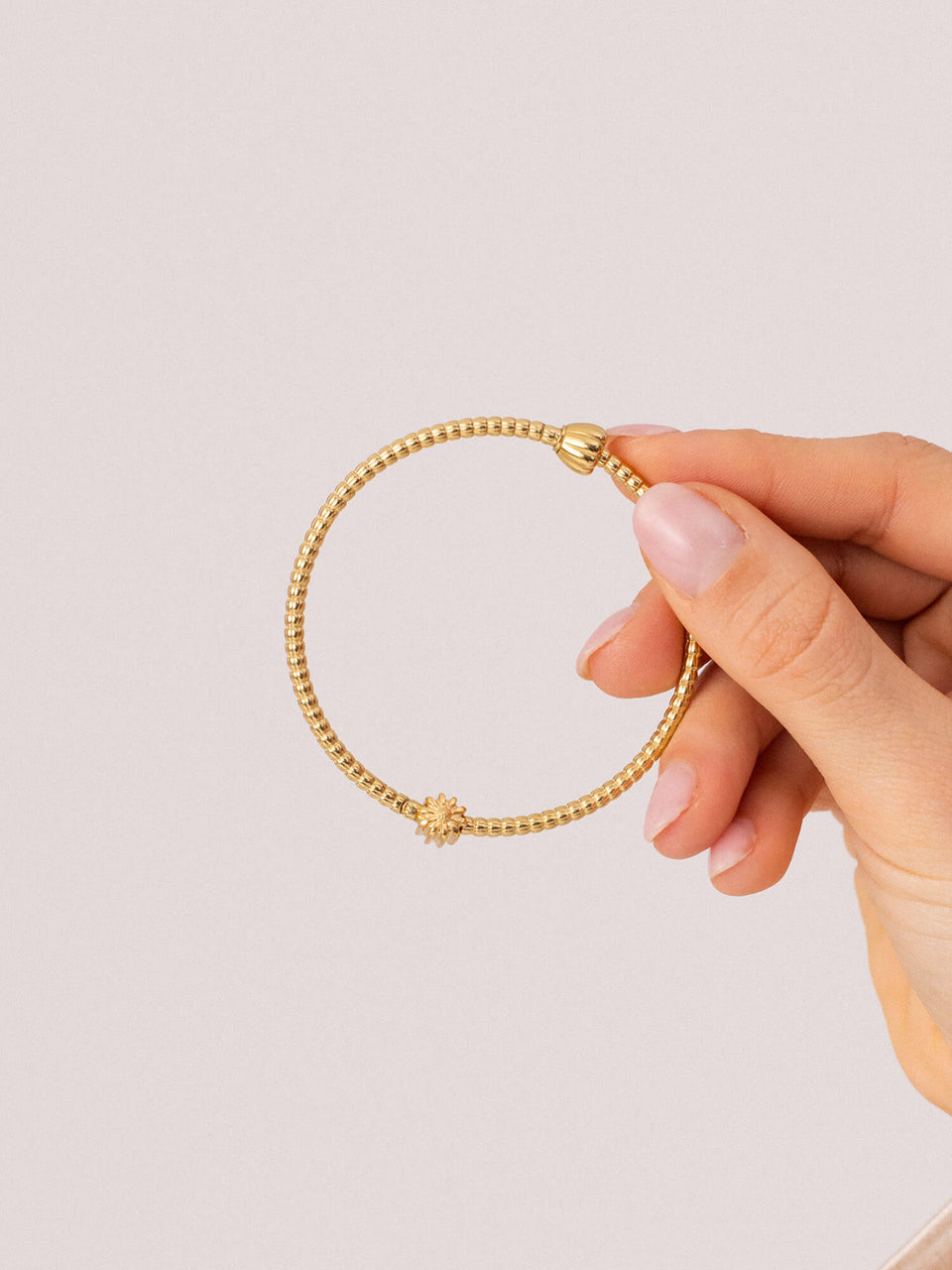 LEI Aster Charm - Geburtsblume September