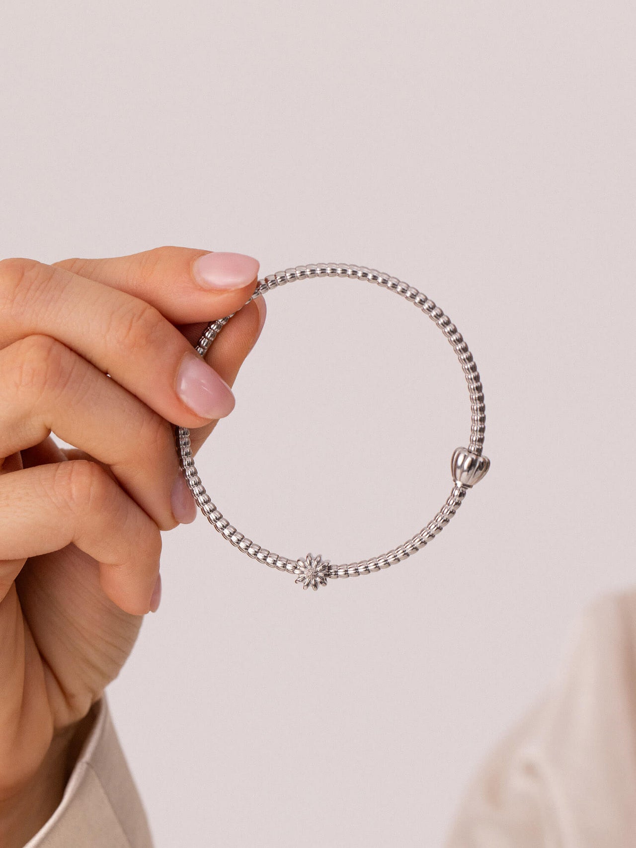 LEI Aster Charm - Geburtsblume September