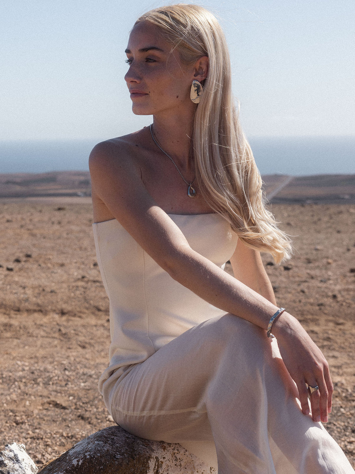 {"color":"Silver"}