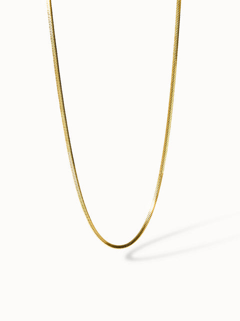 {"color":"Gold", "type":"lead_image"}
