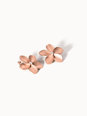 {"color":"Rosegold", "type":"lead_image"}