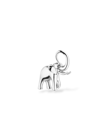 Flowing Strength Charm
