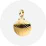 Maritime Shells 