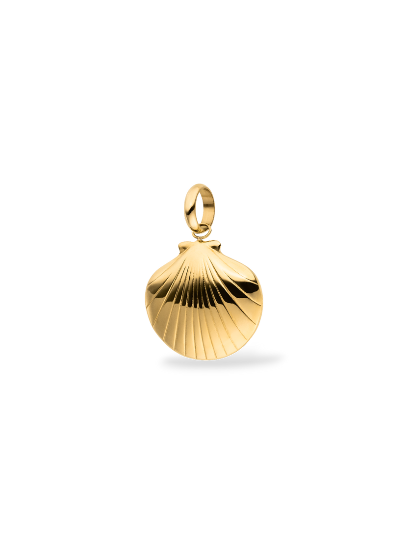 Seashell Charm