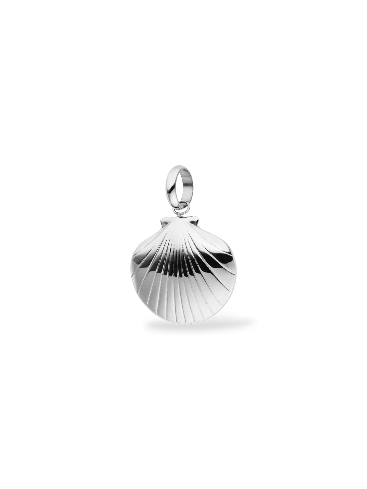 Seashell Charm