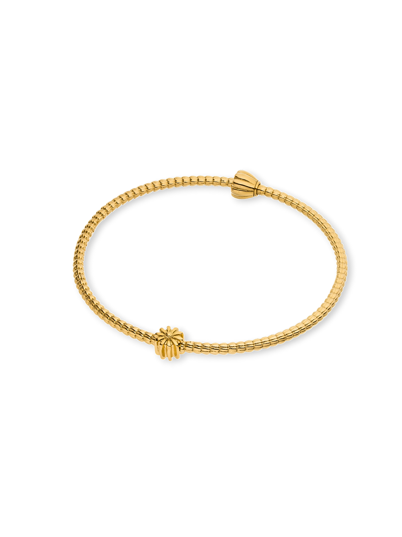 LEI Aster Charm - Geburtsblume September