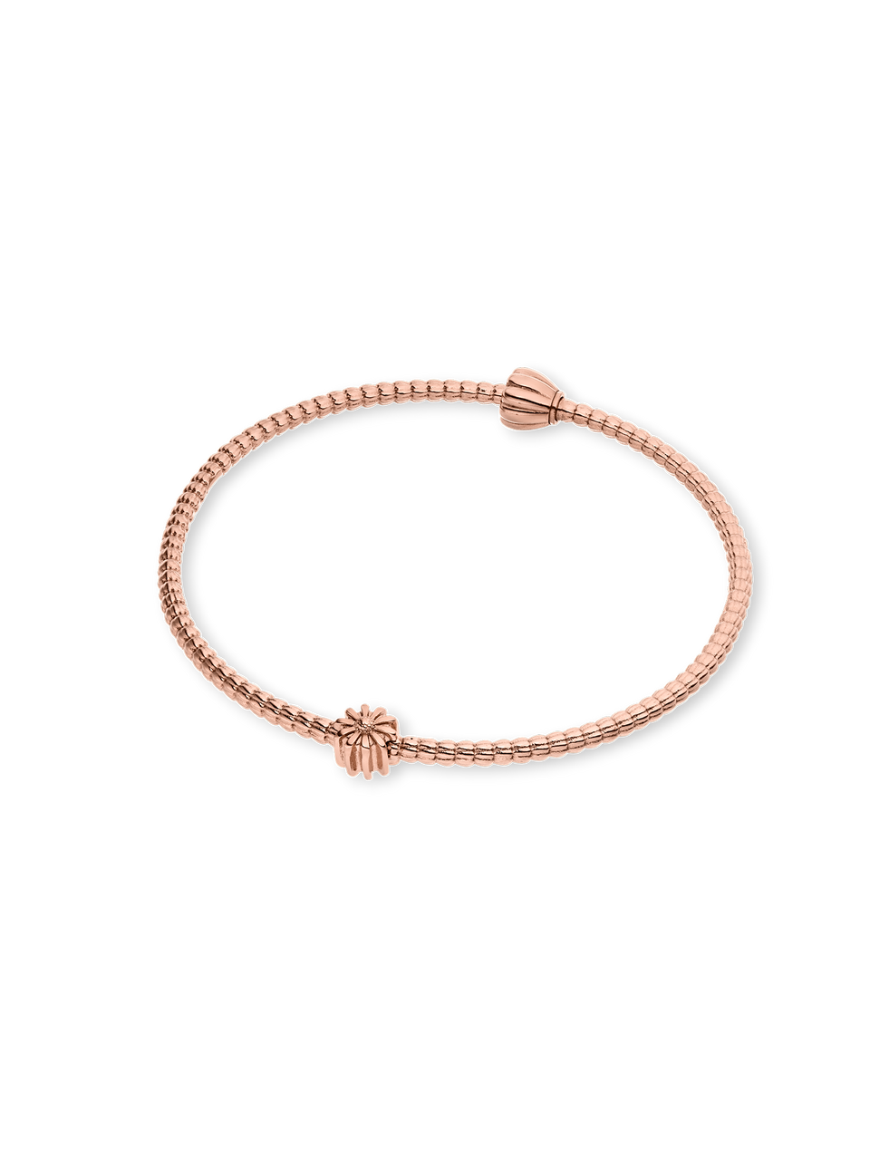 LEI Aster Charm - Geburtsblume September