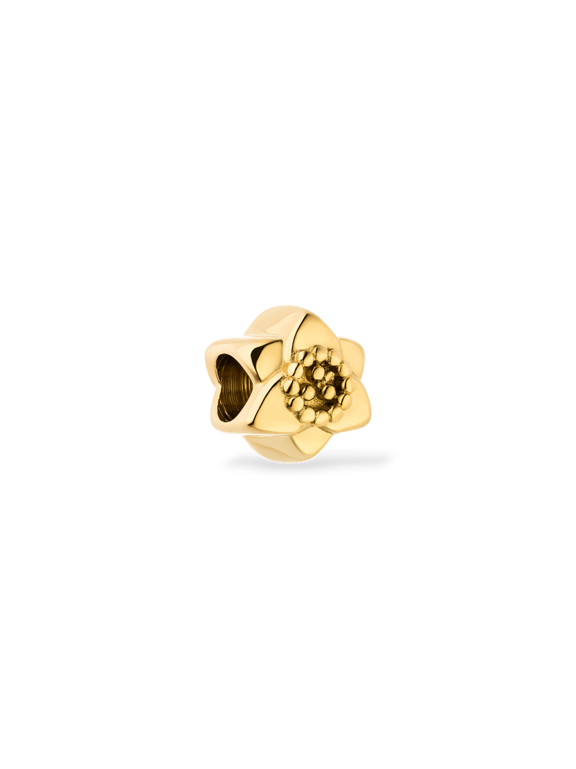 LEI Narzissen Charm - Geburtsblume Dezember