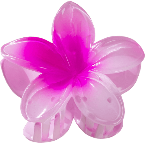{"color":"Pink"}