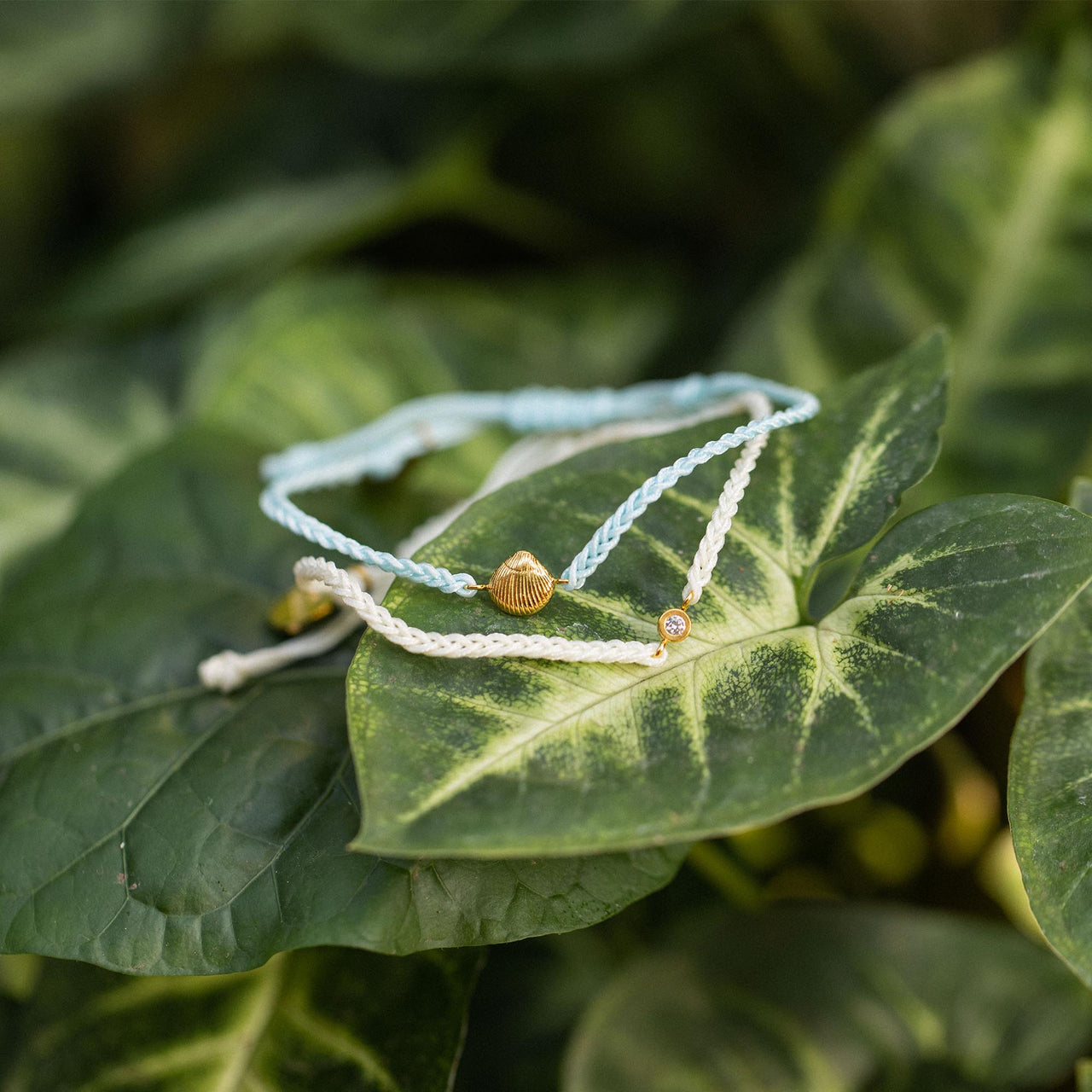 Blue Ocean Armband Set von PURELEI mit Muschel und Zirkonia, nickelfrei, elegant auf grünem Blatt inszeniert