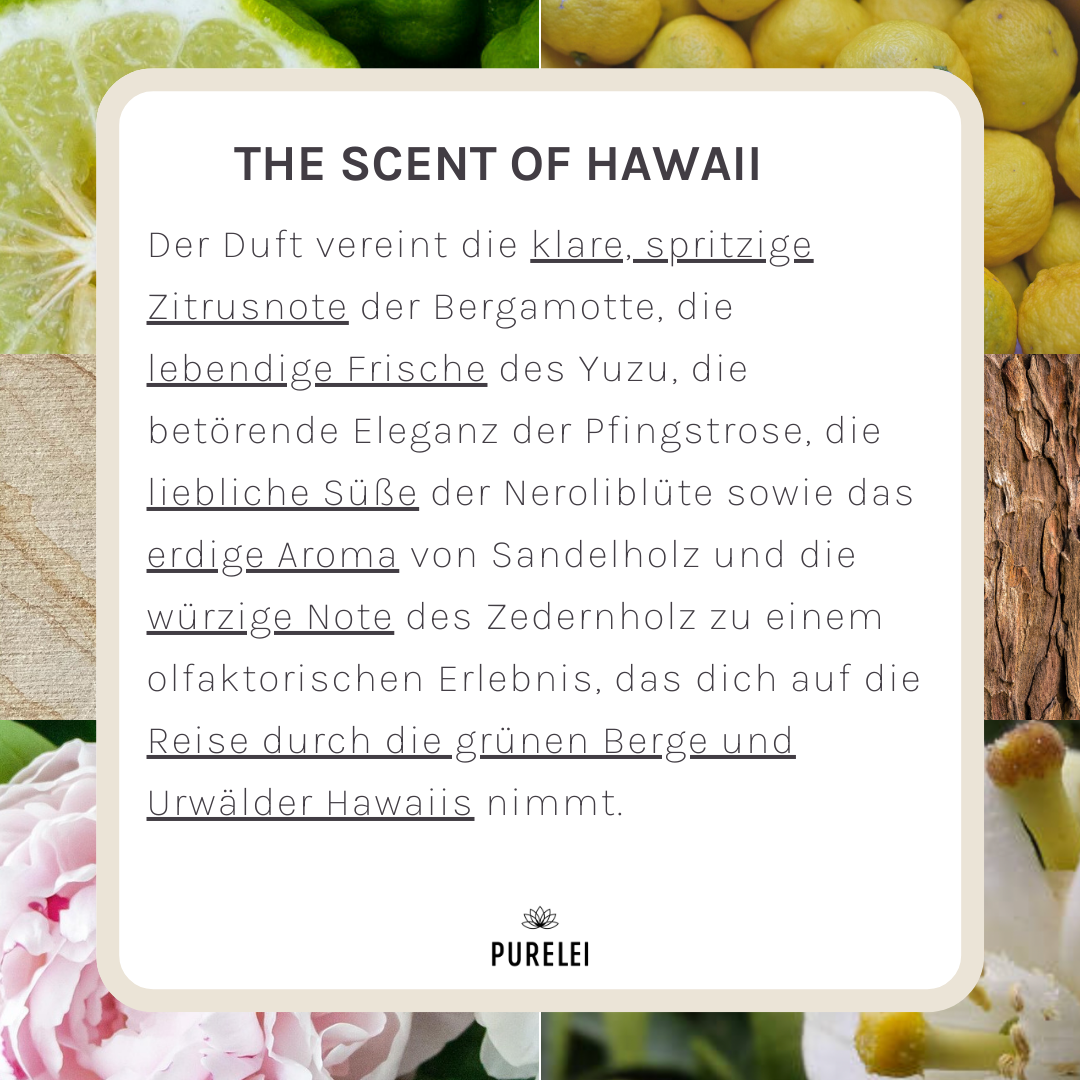 PURELEI Eau de Parfum 50ml und Kalea Kette in vergoldetem Edelstahl mit zartem Aloha-Charme.